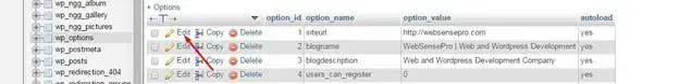 Change URL in WordPress database