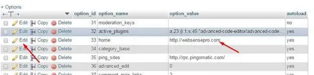 Change URL in WordPress database