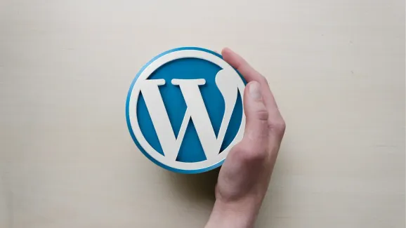 Image related to 5 steps for the beginners to use the perfect wordpress plugin