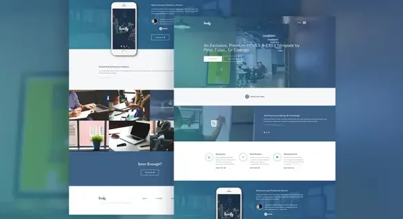 History of Web Development