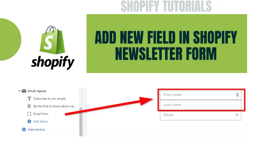 Learn How To Add New Fields in Shopify Newsletter Form