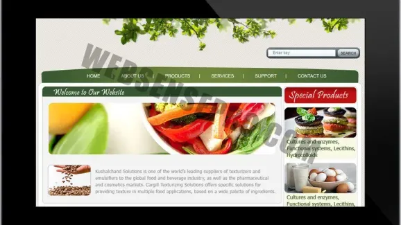 Image related to why you should have a website for restaurant?