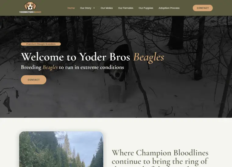 Yoder Bros Beagles website