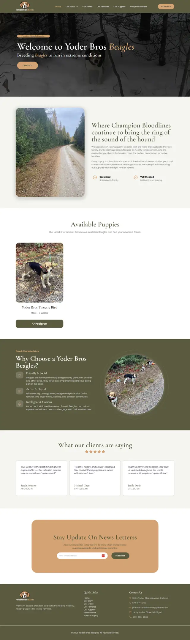Yoder Brothers Beagles