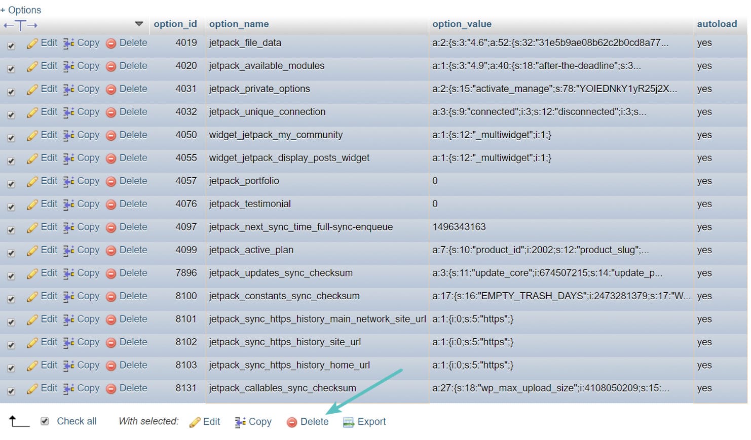 delete autoloaded websites to improve database performance